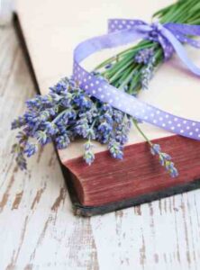 Preserving Herbalism Books From Centuries Past Image